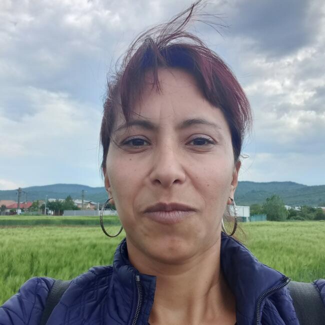 Babysitter in Ploieşti: Teodorescu