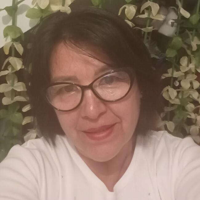 Babysitter in Santiago: Virginia