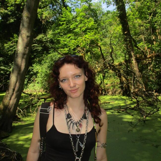 Babysitter in Nancy: Ange