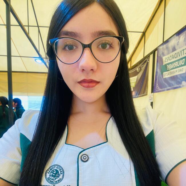 Babysitter in Puente Alto: Melany Yañez 