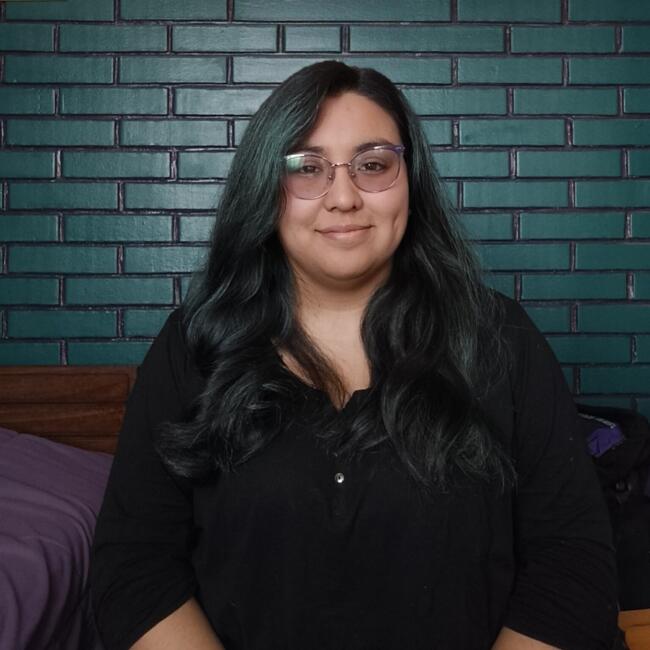 Babysitter in Coquimbo: Pamela