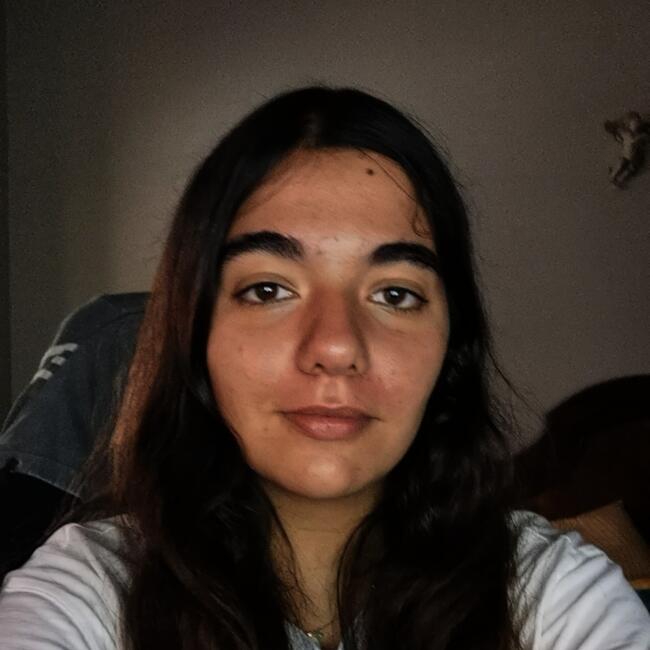 Babysitter em Pinhal Novo: Diana