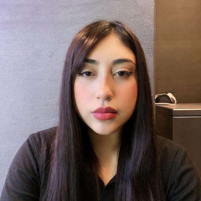 Babysitter in Puente Alto: Camila