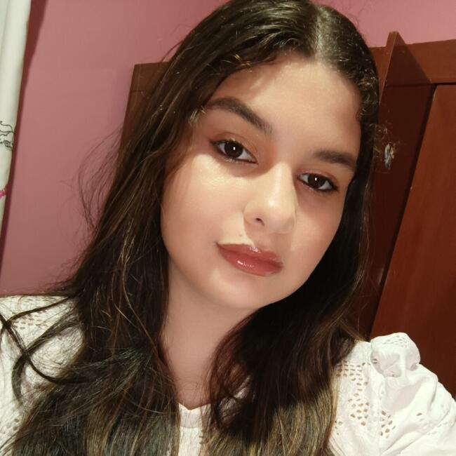 Babysitter in Dourados: Dominique