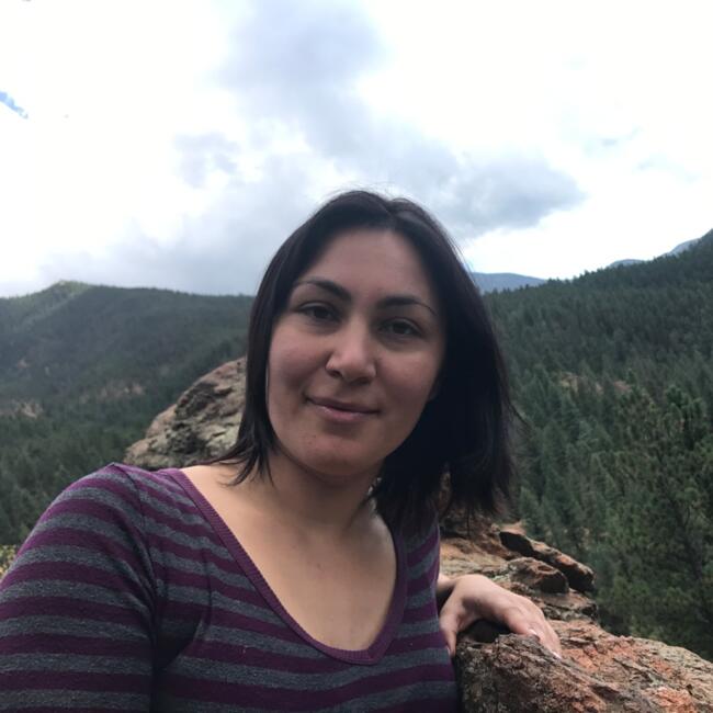 Babysitter in Hallandale: Indira