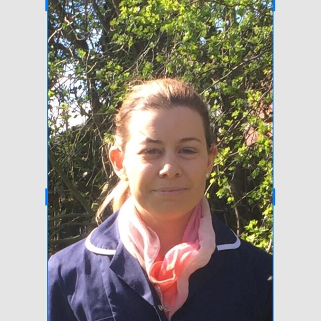 Babysitter in Rathmolyon: Lesley-Anne