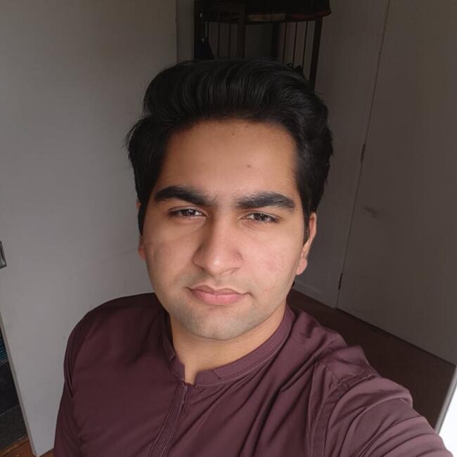 Babysitter in Auckland: Muhammad Haseeb