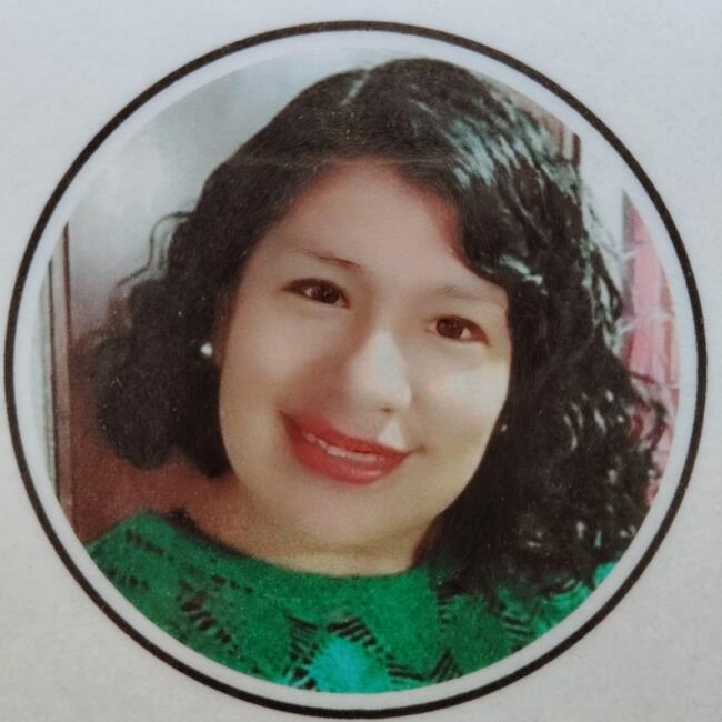 Niñera en Santiago de Chile: Rocio del pilar Vargas alcanta