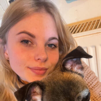 Babysitter in Zurich: Joy