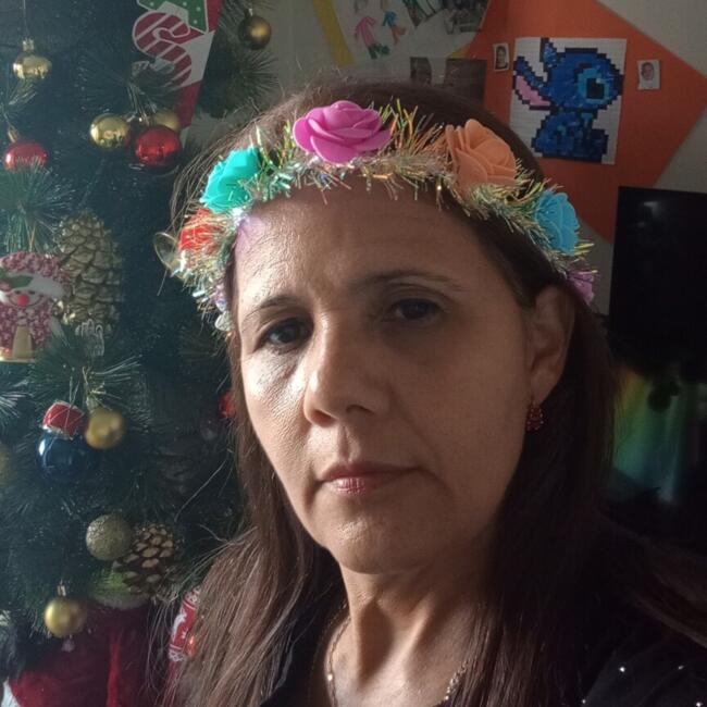 Babysitter in Santiago: Aracelis