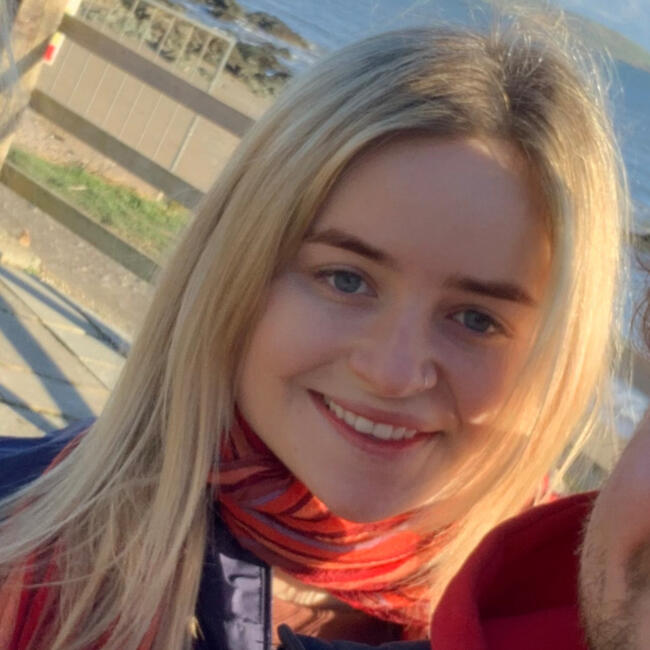 Babysitter in Carrickmines: Ellen