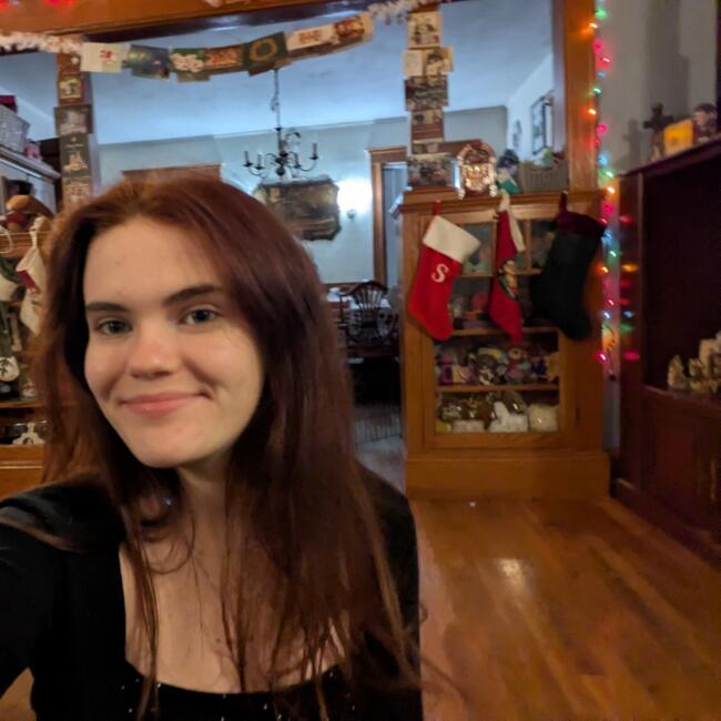 Babysitter in West Roxbury: Sara