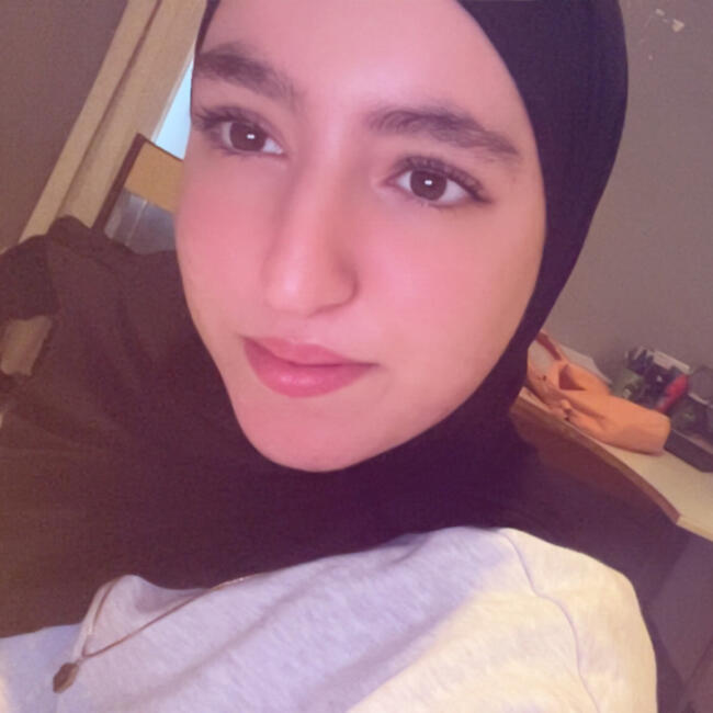 Babysitter in Tourcoing: Safae
