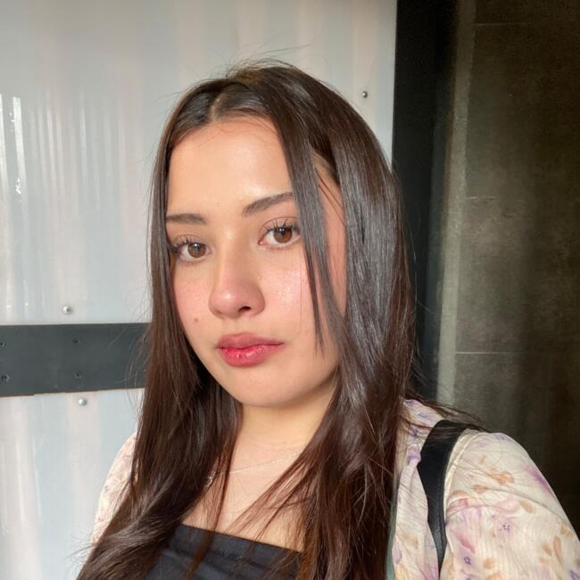 Babysitter in Isla de Maipo: Karen