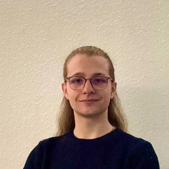 Babysitter in Combs-la-Ville: Selwynn