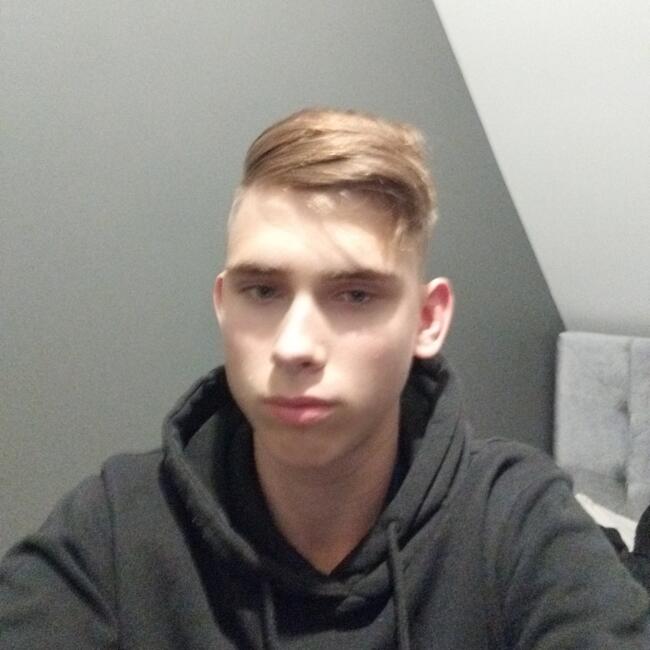 Babysitter in Bauska: Rūdis