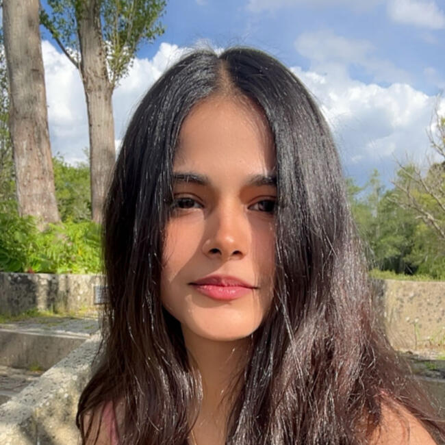 Babysitter em Santa Maria da Feira: Dinkle