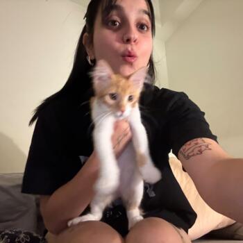 Babysitter στην περιοχή Αθήνα: Χαρα