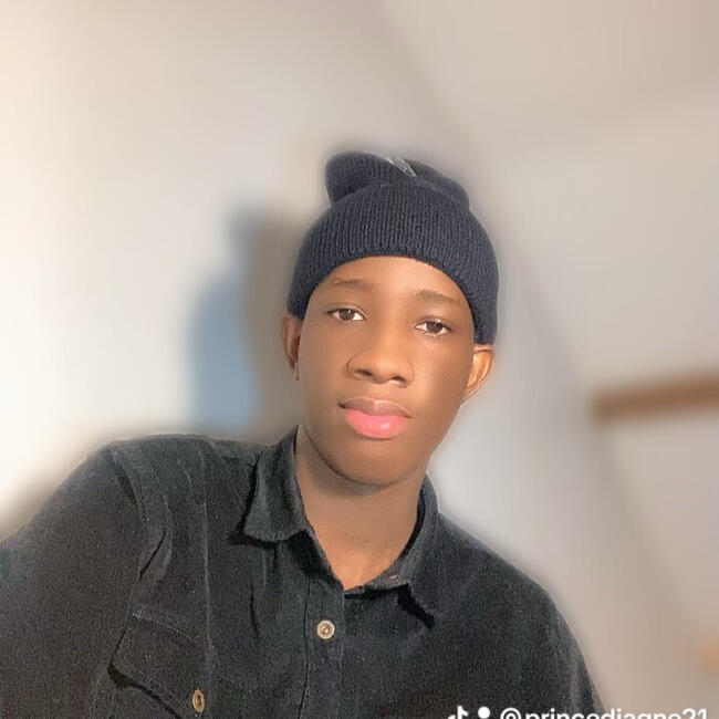 Babysitter in Le Blanc-Mesnil: Dame