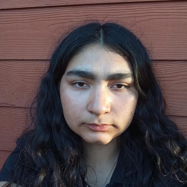 Babysitter in Renca: Lourdes sáez