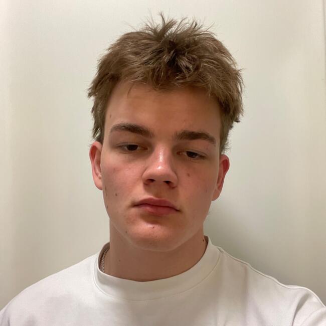 Barnvakt i Bergshamra: Gustav