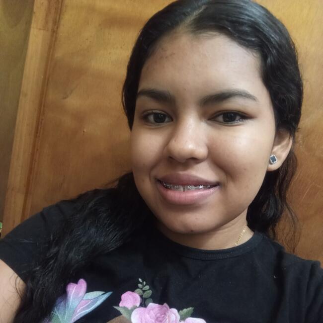 Babysitter in Santiago: Yohanys