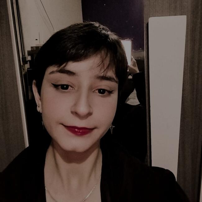 Babysitter in Joinville: Erica