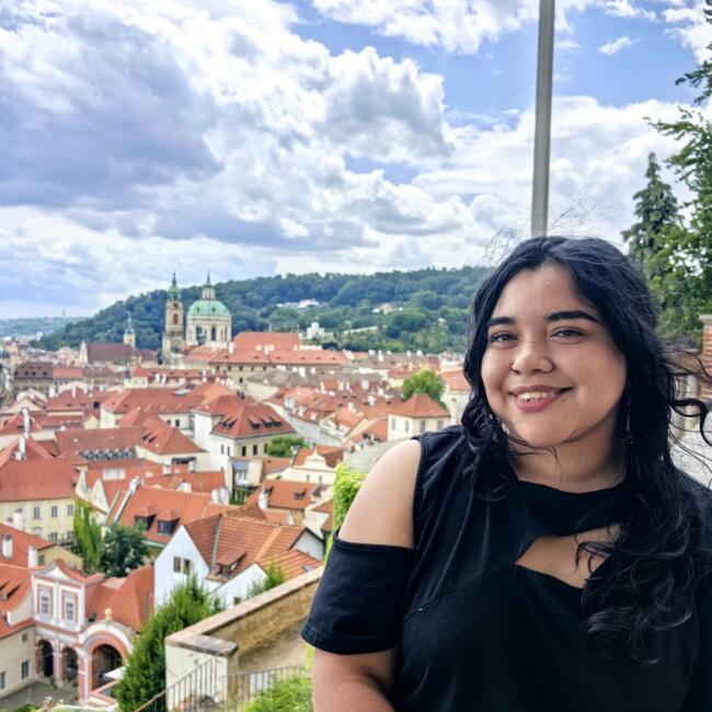 Babysitter in Olmué: Alexsandra