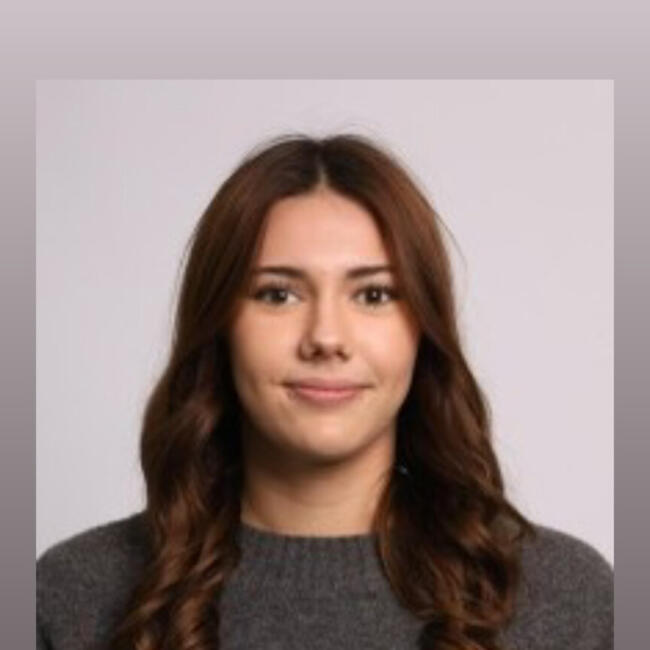 Babysitter in Colomiers: Romane