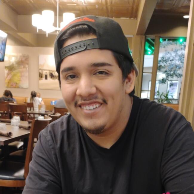 Babysitter in Des Plaines: Alfredo