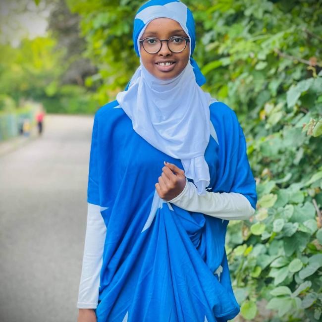 Babysitter in Strasbourg: Hussein Ahmed