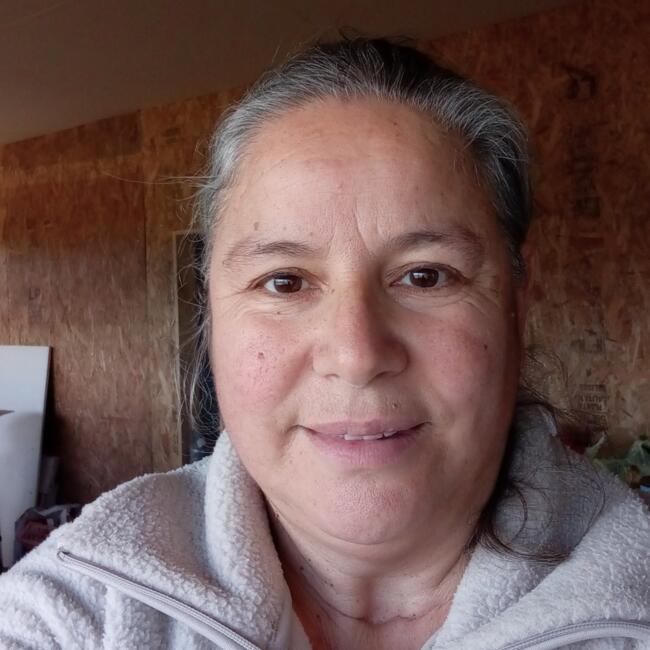 Babysitter in Maule: Claudia