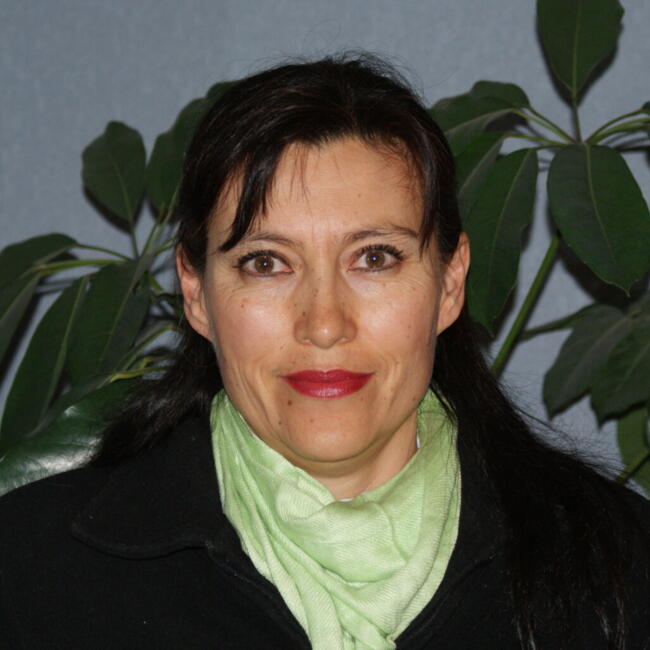 Babysitting job in Aguascalientes: Maria elena