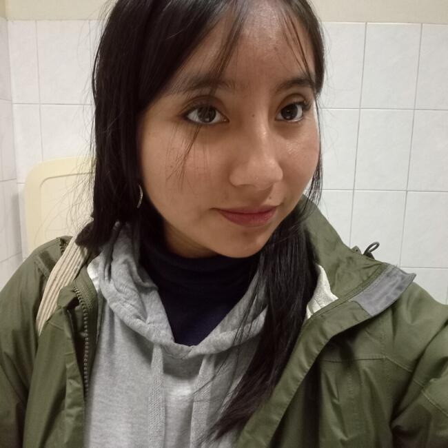 Niñera en Osorno: Yesenia ancalef