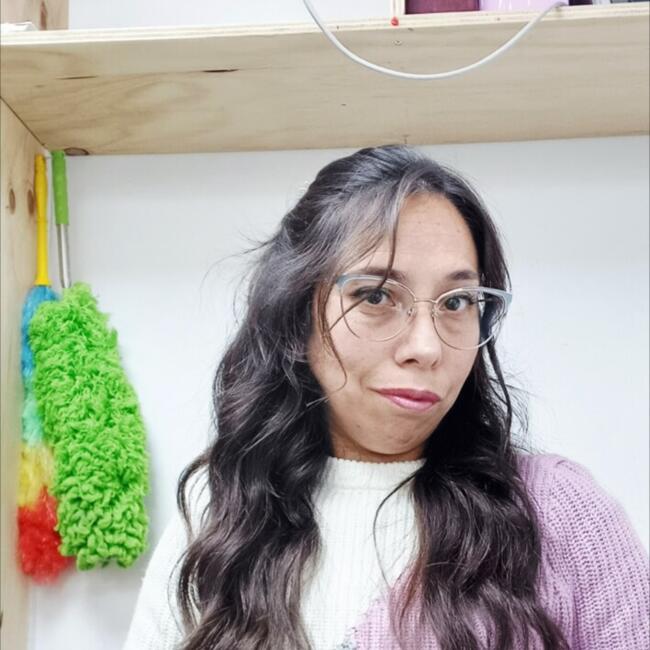 Babysitter in Valparaíso: Carolina salinas