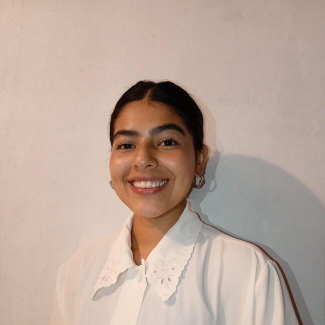 Babysitter in Yerba Buena: Brisa