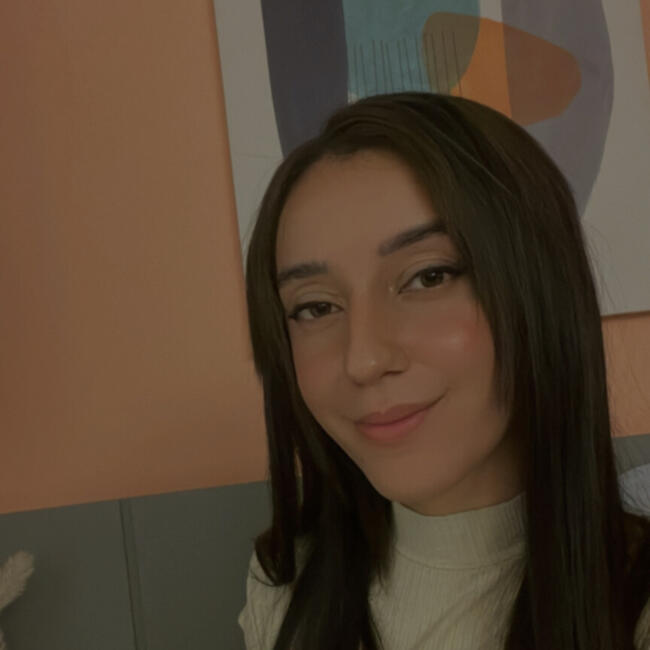 Emprego de babá em Sorocaba: Ester