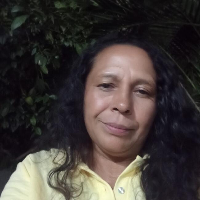 Babá em Belford Roxo: Severina