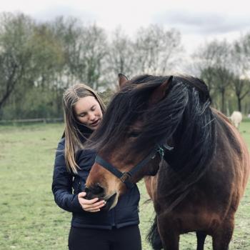 Oppas in Nieuwleusen: Sanne