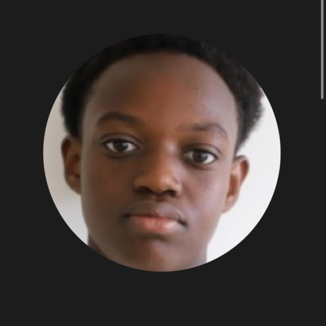 Babysitter in Nanterre: Oussmane