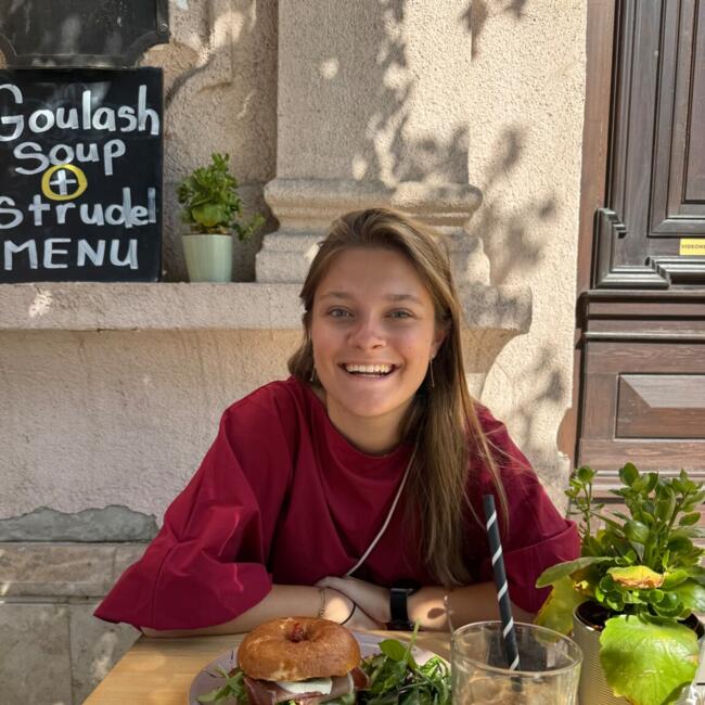 Babysitter in Sijsele: Lentel