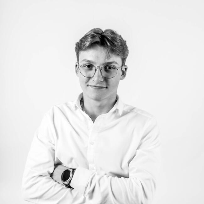 Babysitter in Saint-Georges-d'Espéranche: Robin