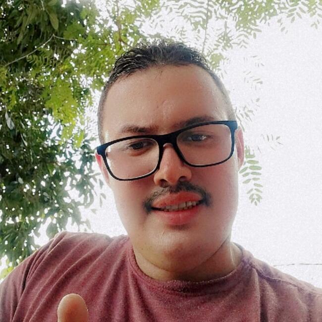 Babysitting job in Estrela (Estrela): Matuzalen