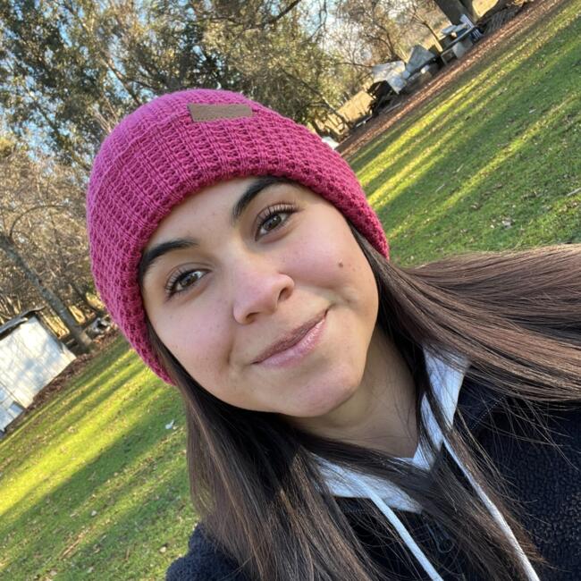 Babysitter in Temuco: Ivonne