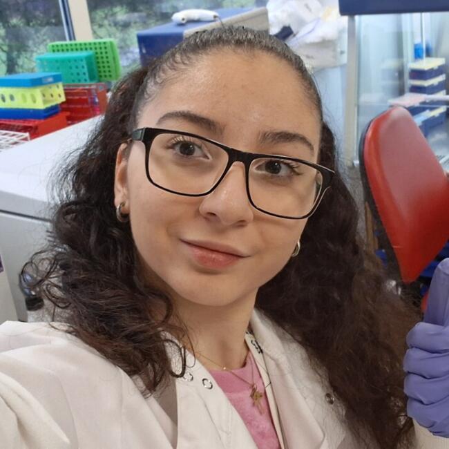 Babysitter in Birmingham: Hasmik