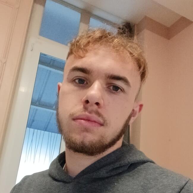 Babysitting job in Cambrai: Fabien