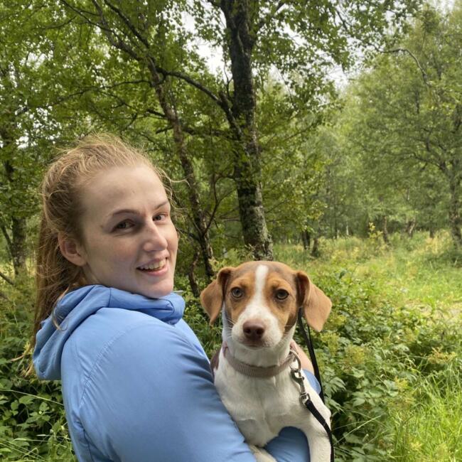 Babysitter in Lisbon: Live