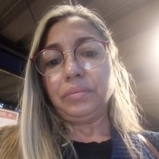 Babysitter in Itaquaquecetuba: Iranilda