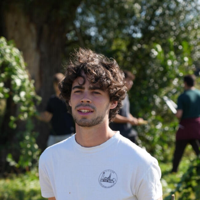 Bébiszitter Budapest területén: Antoine