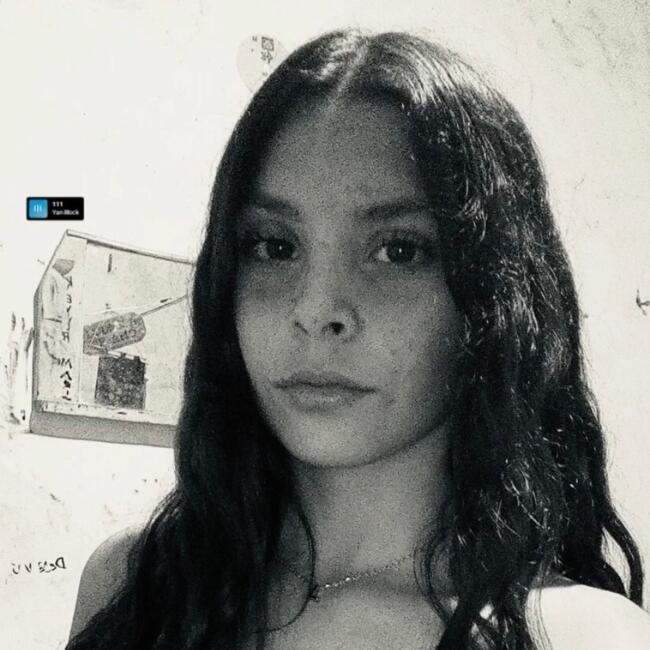 Babysitter in Necochea: Aylin